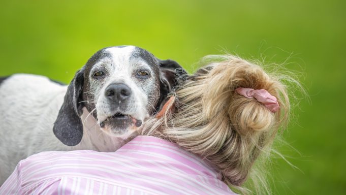 Hund umarmt eine Person von hinten, beide genießen den Moment im Freien.